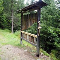 Waldlehrpfad, Xylofon