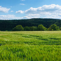 Ausblick am B4