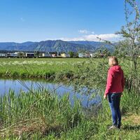 Fischteich