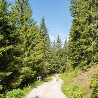 hier kommen wir aus dem Wald und gehen rechts, der Markierung weiter