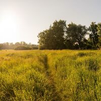 Wiesenweg im Günztal ei Ottobeuren