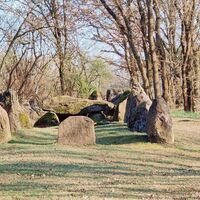 Großsteingrab in Haaßel – Zeugnis der Trichterbecherkultur
