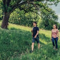 Löwensteiner Bergtouren | Geführte Wanderungen im Naturpark Schwäbisch-Fränkischer Wald | HeilbronnerLand