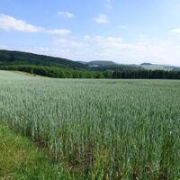 Pfälzer Bergland