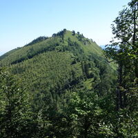 Übergang Burgspitz Kleiner Almkogel