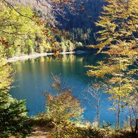 Lac du Ballon_Gustiberg