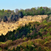 Muschelkalk-Abbruchwand Plessefelsen bei Wanfried