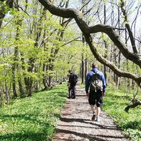Kammweg in den Hörselbergen