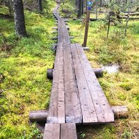 Stege des UKK-Weges in Vuokatti