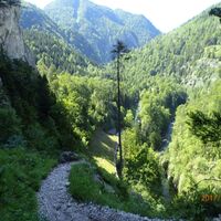 am Wachhüttelkammsteig