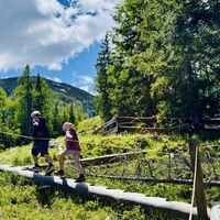 Spiegelinas Lieblingsroute Holzstämme