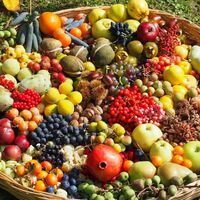 Obstkorb