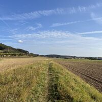 Drohnenaufnahme von der Trasse (der erlaubte Feldweg ist links im Bild)..