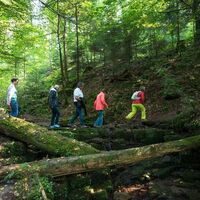 Naturpark-Augenblick-Runde Holzbronn_Bachueberquerung