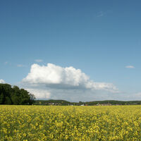 Der Höhenzug des Wassenberger Riedellandes