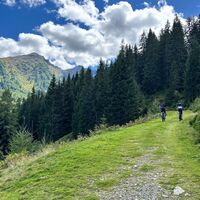 Auffahrt_Richtung Kaiblingalm_Fünf-Berge-Runde