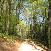 wanderweg-lb1-41
