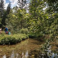 johnsbacher schattseitenweg_img_51666301