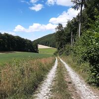 Blauer Hödeken