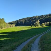 Bernau im Schwarzwald Über die Höhen entlang der Alb (2)