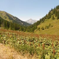 Val Thuras