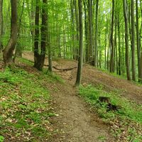 5.7 km Diese Straße queren wir ...