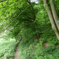 Natursteig Sieg Etappe 11