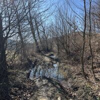 Weiter im Text bzw. Wald, dieses Gatschstück (es kommen noch weitere..) am besten außen auf einer großen Wiese umgehen