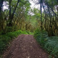 Weg zum Lac de Chailloux