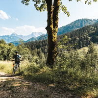 Blick ins Gesäuse