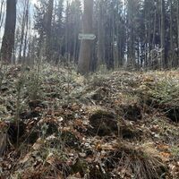 Weg zur Großen Meilerstätte am Rennsteig