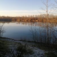 Dog lake in the Allacher Lohe