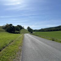 Nach dem Ortsende ein paar 100m am wenig befahrenen Sträßchen Richtung Sittendorf weiter (die Bankette sind wanderfreundlich ausgemäht -- dennoch bitte Obacht in den Kurven)