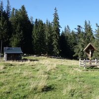 auf der Sohlenalm