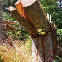 Von Knau zur Bankschenke