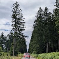 RALLYE PS.SPEICHER, Fahrt durch den Solling, Oldtimer-Bus_06.07.2025 © Einbeck Tourismus.jpg