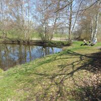 Alter Teich