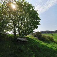 Bank bei Tannroda