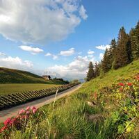 Schrägzäune prägen das Bild in Furna.