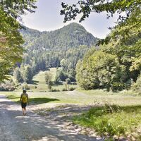 Am Weg zurück