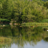 Paradies für über 120 Vogelarten
