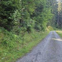 9.4 km Abzweigung in den S2 Wanderpfad/Single
