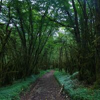 Weg zum Lac de Chailloux
