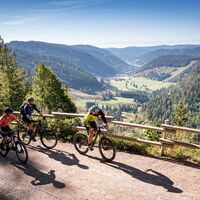 Blick ins Menzenschwander Tal