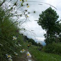 Weg vor les Montgerouds - Panorama Bike Etappe 12