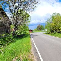 Alte Scheune und große Birke am Straßenrand der Asphaltstraße