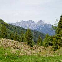 Admonter Reichenstein - Stock