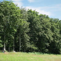 Panoramaplatz mit Restmöglichkeit