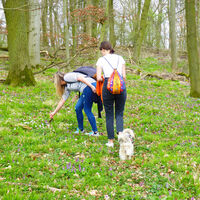 Rhündaer Berg