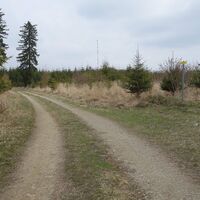 am Weg zur Turnerwiese